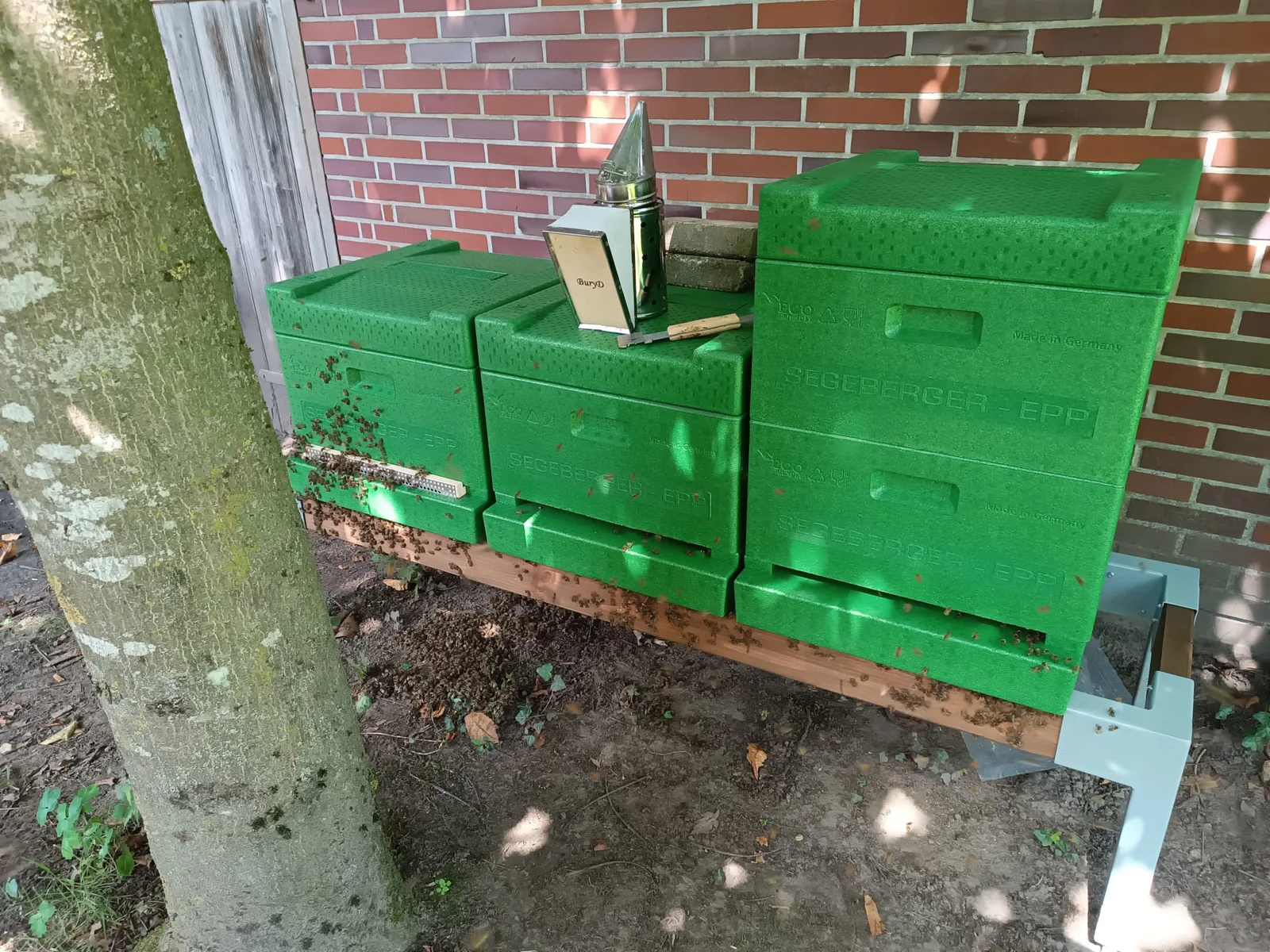 Grüne Bienenstöcke mit Smoker am Bienenstand