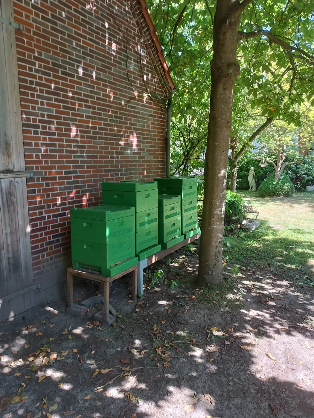 Mehrere Bienenstöcke im Garten in Oldenburg